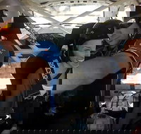 Barossa Rally School Hotlap Ride in a Rally Car 3 Laps - Accommodation Noosa