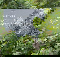 Yalumba Nursery  Grenache Discovery Tour  Platter Lunch - Accommodation Noosa