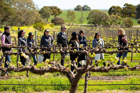 Walk, Taste, Graze - Experience At Pindarie - Accommodation Noosa 2