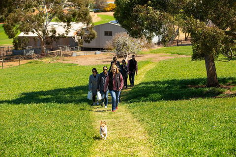 Walk, Taste, Graze - Experience At Pindarie - Accommodation Noosa 7