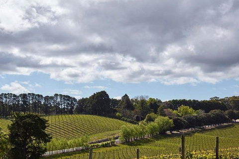 Adelaide Hills Full Day Winery Tour With Tastings - Accommodation Noosa 4