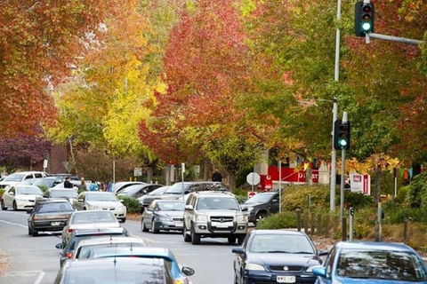 Adelaide Hills Full Day Winery Tour With Tastings - Accommodation Noosa 3
