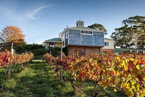Adelaide Hills Full Day Winery Tour With Tastings - Accommodation Noosa 0
