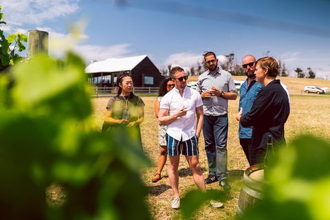 Tasmanian Wine Tour - Accommodation Noosa 4