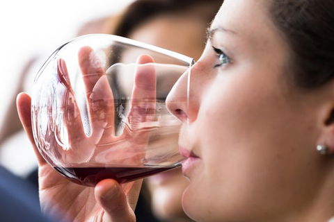 Tasmanian Wine Tour - Accommodation Noosa 1