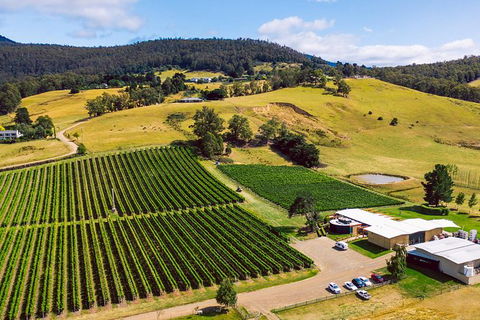 Tasmanian Wine Tour - Accommodation Noosa 11