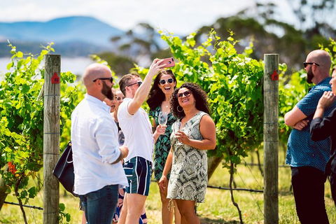 Tasmanian Wine Tour - Accommodation Noosa 3
