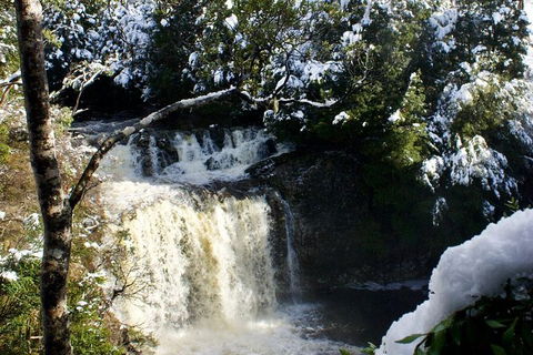 Cradle Mountain Park Explorer - Accommodation Noosa 1