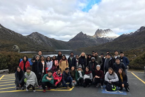 Shore Excursion - Cradle Mountain Day Tour From Burnie - Accommodation Noosa 4