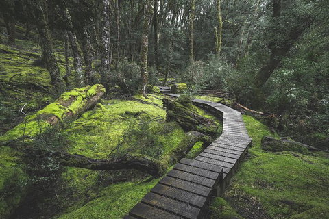 Shore Excursion - Cradle Mountain Day Tour From Burnie - Accommodation Noosa 2