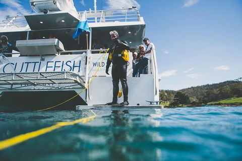 Deep-to-Dish: Tasmanian Seafood Experience - Afternoon Tour - Accommodation Noosa 6