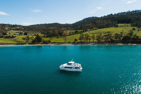 Deep-to-Dish: Tasmanian Seafood Experience - Afternoon Tour - Accommodation Noosa 8