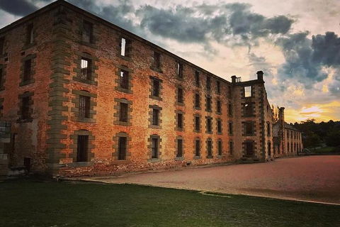 Full Day Tour Hobart: Port Arthur McHenry Gins Bangor Vineyard Wines + Oysters - Accommodation Noosa 20
