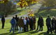 Full Day Tour Hobart: Port Arthur McHenry Gins Bangor Vineyard Wines + Oysters - thumb 11
