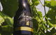 Full Day Tour Hobart: Port Arthur McHenry Gins Bangor Vineyard Wines + Oysters - thumb 2