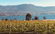 Full Day Tour Hobart: Port Arthur McHenry Gins Bangor Vineyard Wines + Oysters - thumb 22