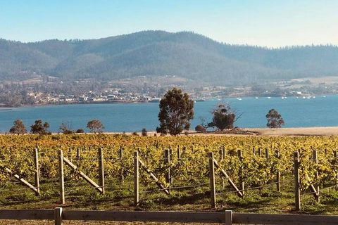 Full Day Tour Hobart: Port Arthur McHenry Gins Bangor Vineyard Wines + Oysters - Accommodation Noosa 22