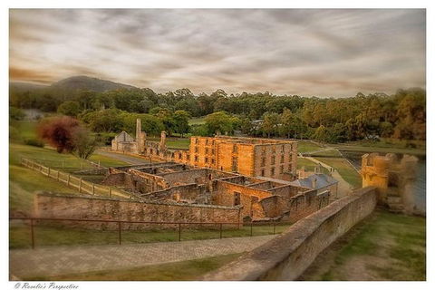 Full Day Tour Hobart: Port Arthur McHenry Gins Bangor Vineyard Wines + Oysters - Accommodation Noosa 1