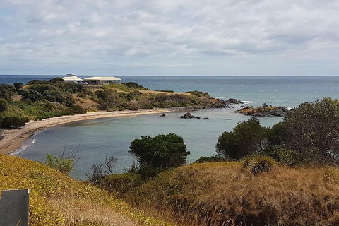 Cruise Ship Excursion: NW Tassie Coastal Explorer - Accommodation Noosa 13