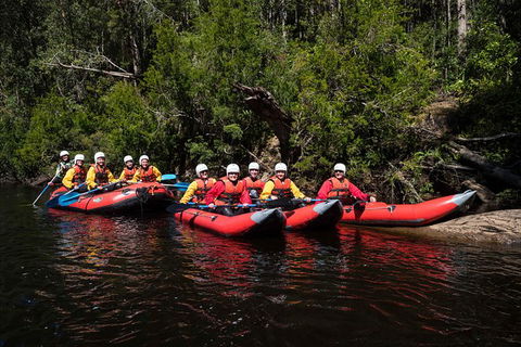 Twin Rivers Adventure - Accommodation Noosa 6