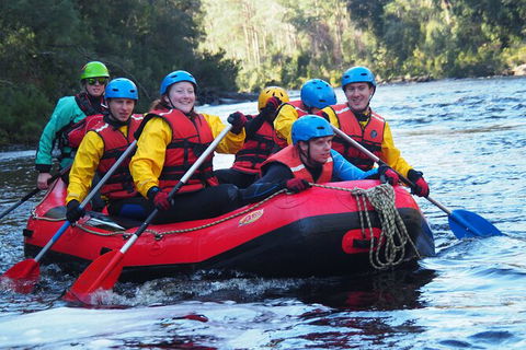 Twin Rivers Adventure - Accommodation Noosa 2