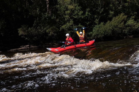 Twin Rivers Adventure - Accommodation Noosa 5