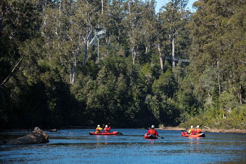 Twin Rivers Adventure - Accommodation Noosa 0