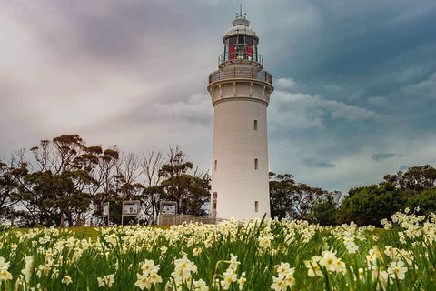 Table Cape Lighthouse Tours - Accommodation Noosa 7