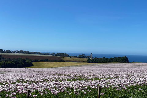 Table Cape Lighthouse Tours - Accommodation Noosa 8