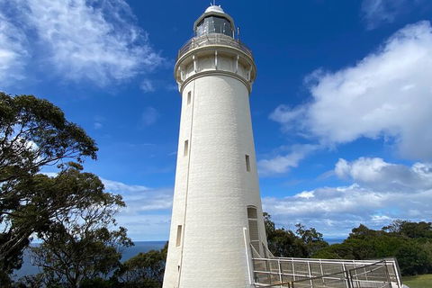 Table Cape Lighthouse Tours - Accommodation Noosa 4