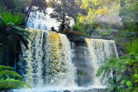 6-Day Tasmania Small-Group Guided Tour With Gourmet Food - Accommodation Noosa 9