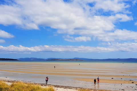 6-Day Tasmania Small-Group Guided Tour With Gourmet Food - Accommodation Noosa 7