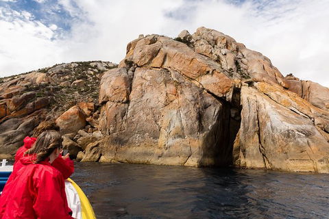 Wilsons Promontory Wilderness Cruise From Tidal River - Accommodation Noosa 4