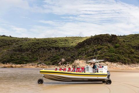 Wilsons Promontory Wilderness Cruise From Tidal River - Accommodation Noosa 1