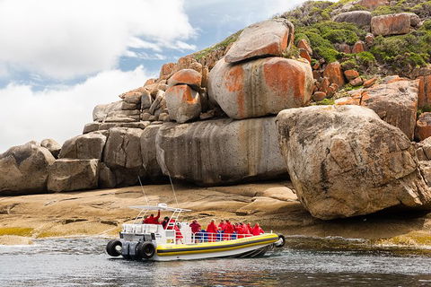 Wilsons Promontory Wilderness Cruise From Tidal River - Accommodation Noosa 5