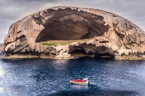 Wilsons Promontory Wilderness Cruise From Tidal River - Accommodation Noosa 0