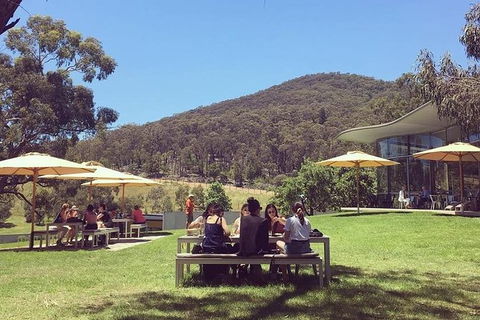 CHEVY CONVERTIBLE TOUR Per Group Up To 4 People. - Accommodation Noosa 3