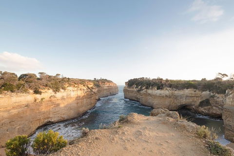 PRIVATE Great Ocean Road Tour And 12 Apostles With Wildlife Spotting - Accommodation Noosa 1