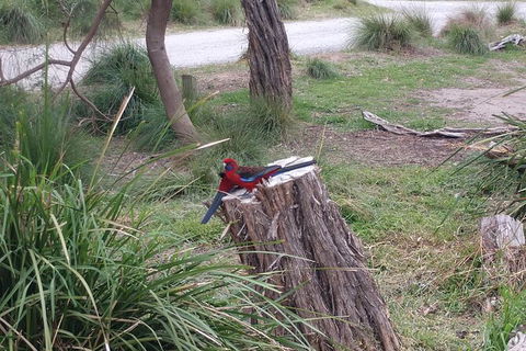 Wilsons Promontory Brainstorming Escape - Accommodation Noosa 5