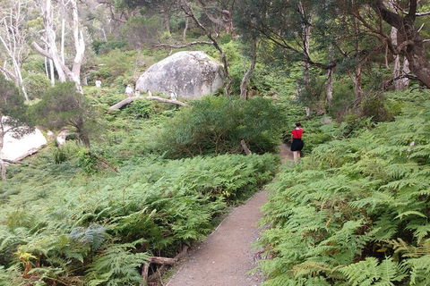Wilsons Promontory Brainstorming Escape - Accommodation Noosa 2