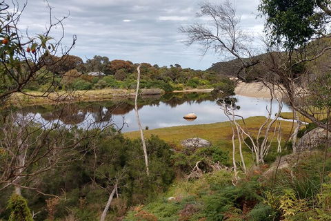 Wilsons Promontory Brainstorming Escape - Accommodation Noosa 9