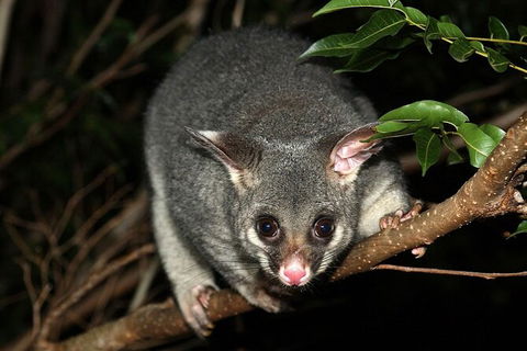 Wilsons Promontory Brainstorming Escape - Accommodation Noosa 3
