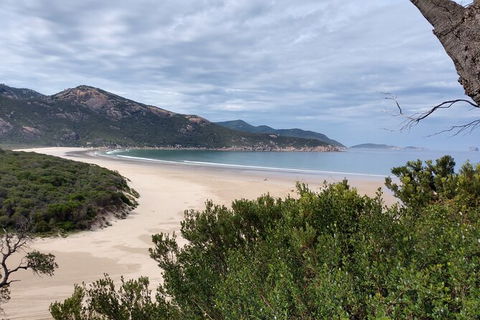 Wilsons Promontory Brainstorming Escape - Accommodation Noosa 1