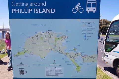 Phillip Island Penguin And Wildlife Tour - Accommodation Noosa 28
