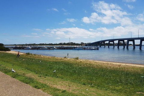 Phillip Island Penguin And Wildlife Tour - Accommodation Noosa 24
