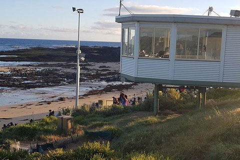 Phillip Island Penguin And Wildlife Tour - Accommodation Noosa 33