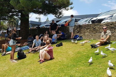 Phillip Island Penguin And Wildlife Tour - Accommodation Noosa 22
