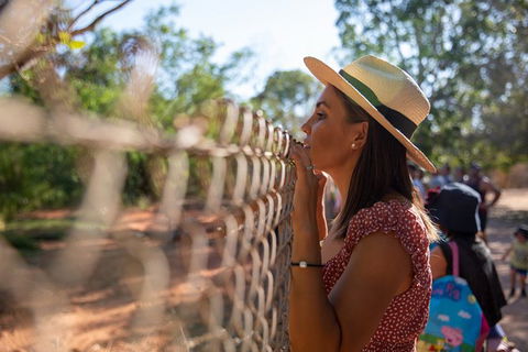 Malcolm Douglas Crocodile Park - Accommodation Noosa 12