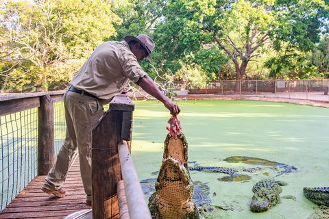 Malcolm Douglas Crocodile Park - Accommodation Noosa 3