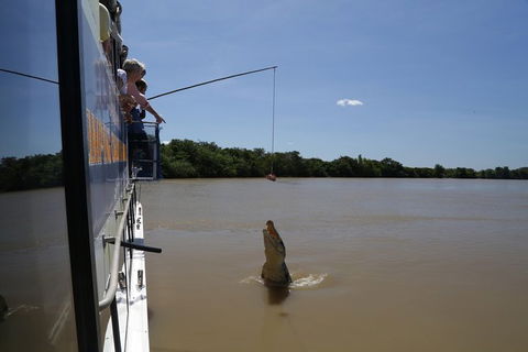 Darwin City Sights And Jumping Crocodile Cruise - Accommodation Noosa 2